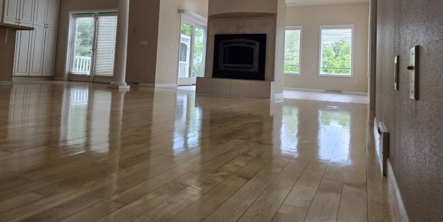 hardwood floor cleaning service in madison