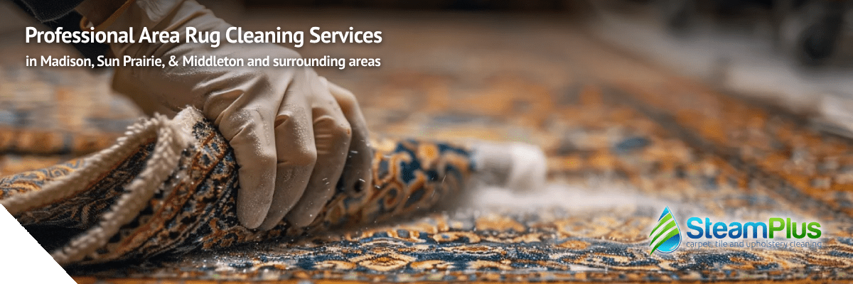 area rug cleaning service in madison