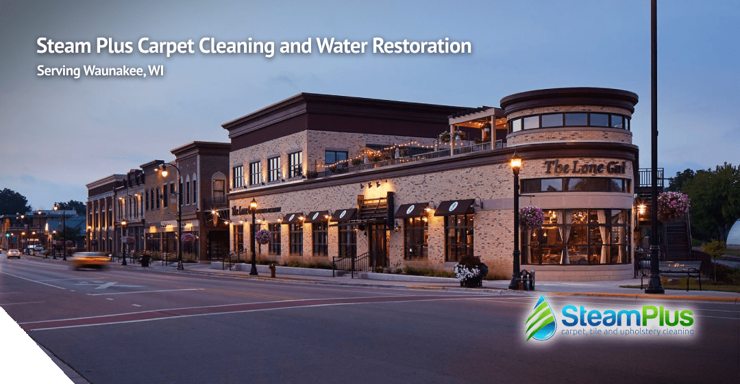 cleaning services in waunakee