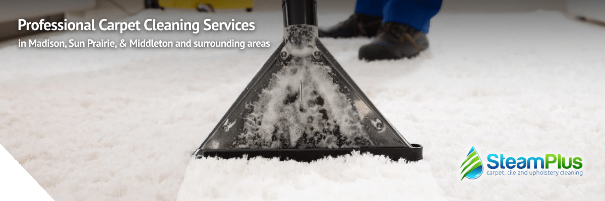 carpet cleaning service in madison