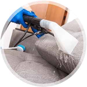 steam-plus-upholstery-cleaning-th Leather Cleaning Service Icon