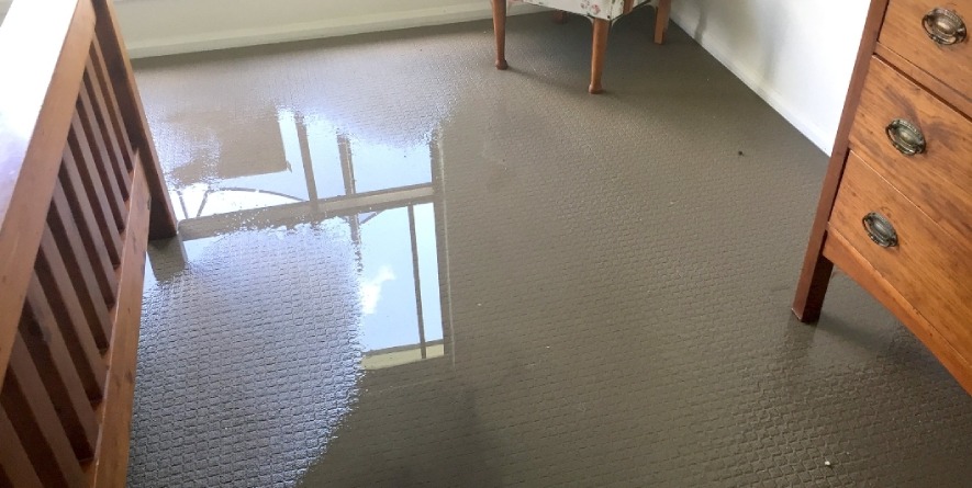 water extraction service in madison