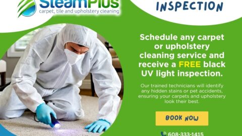 Free UV Light Inspection with Every Clean