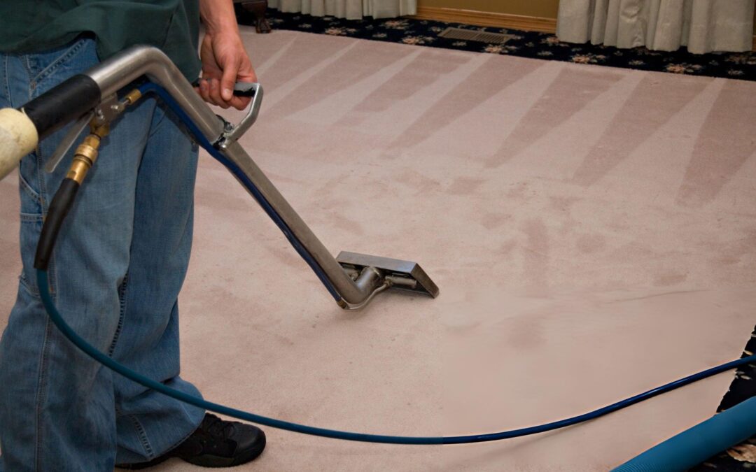 carpet cleaning