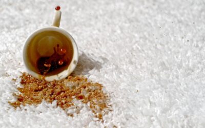 How to Remove Coffee Stains from your Area Rug