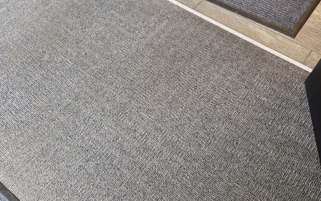 Carpet Cleaning Experts in Madison, WI