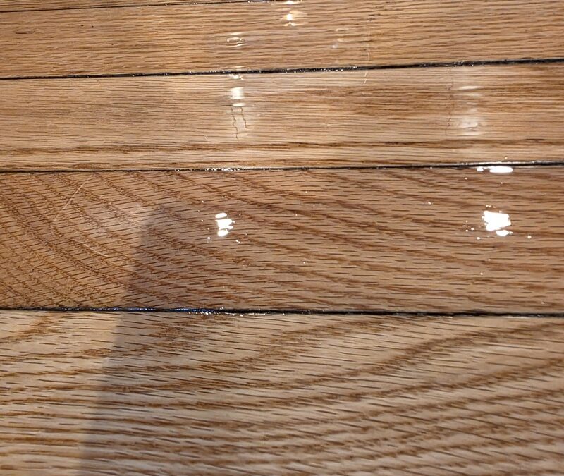 Madison Hardwood Floor Restoration: Theresa’s Worn Floors Shine Like New