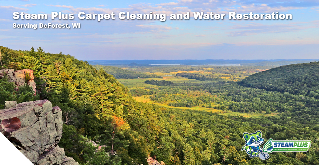 cleaning services in madison