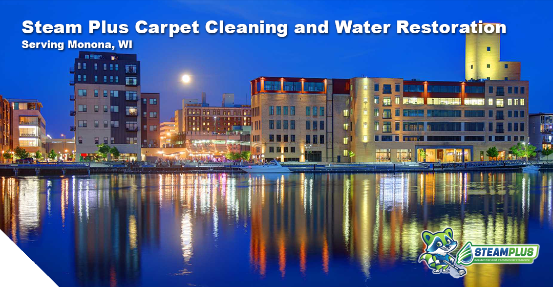 cleaning services in madison