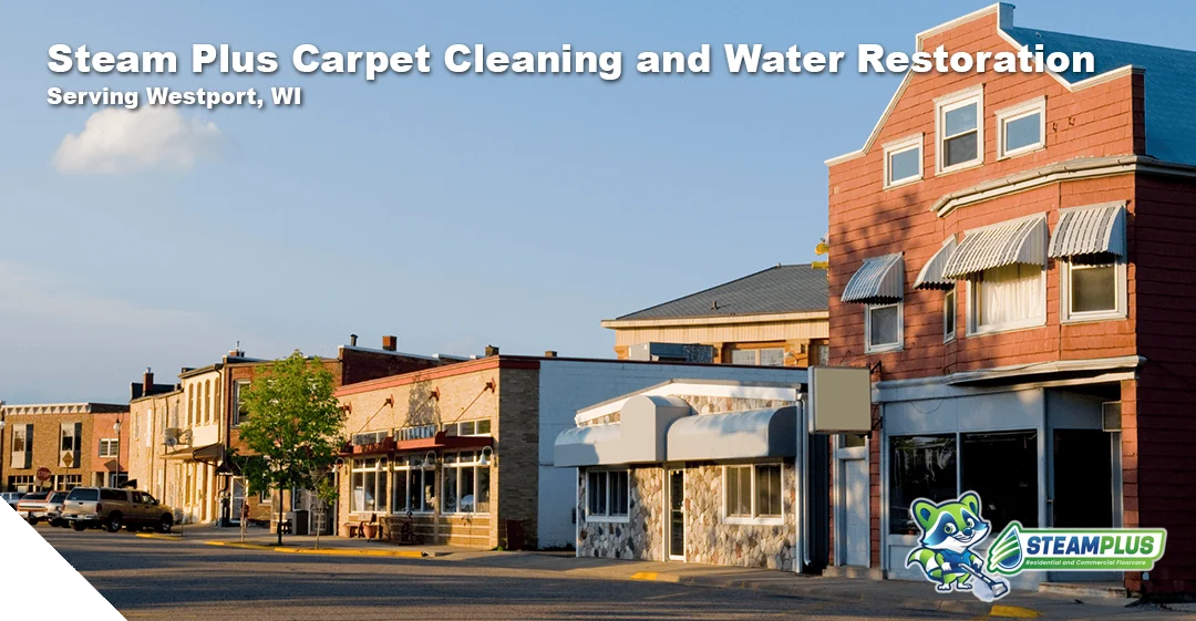 cleaning services in madison
