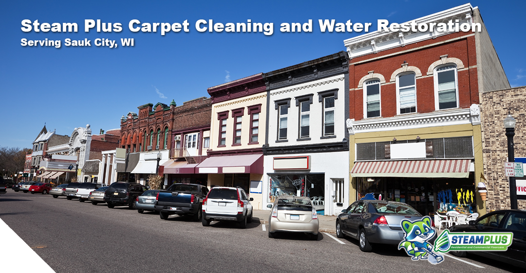 cleaning services in madison