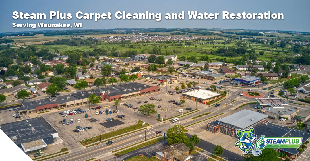 cleaning services in madison