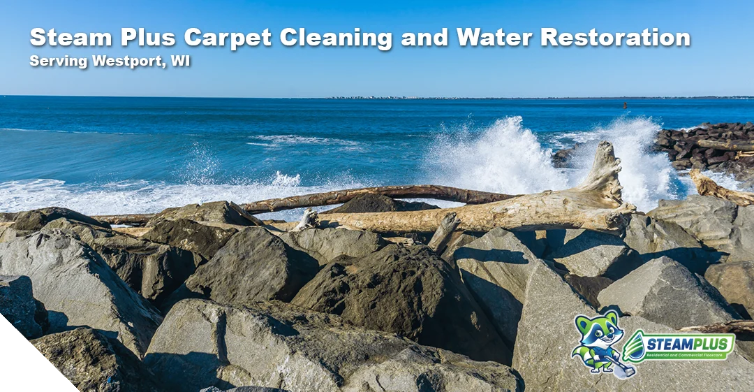 cleaning services in madison
