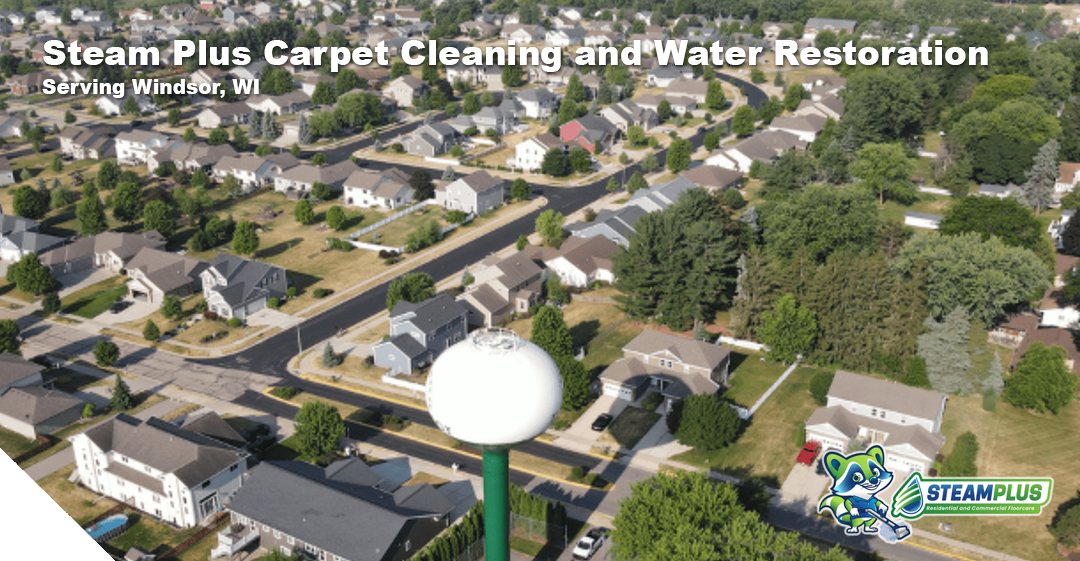 cleaning services in madison