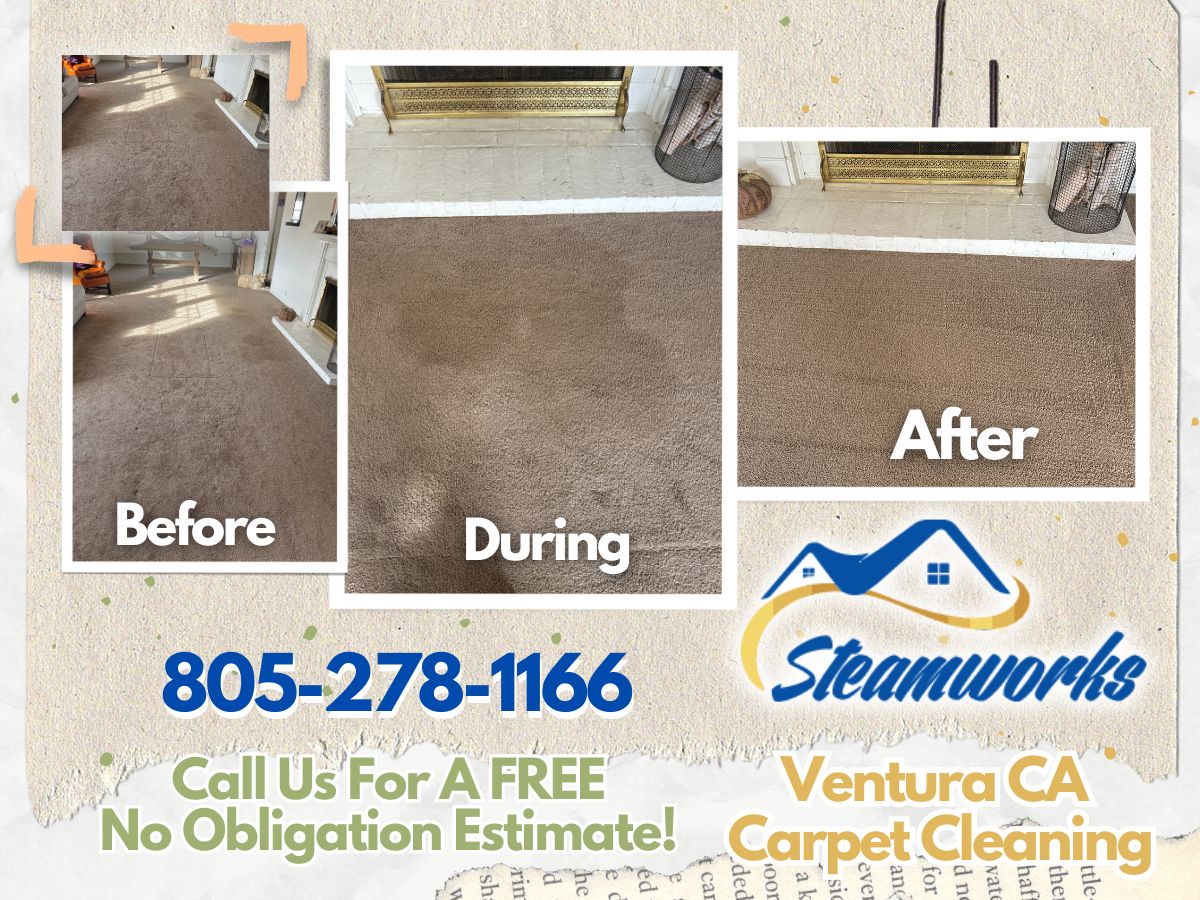 Carpet Cleaning Ventura California (1)