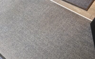 Carpet Cleaning Experts in Madison, WI