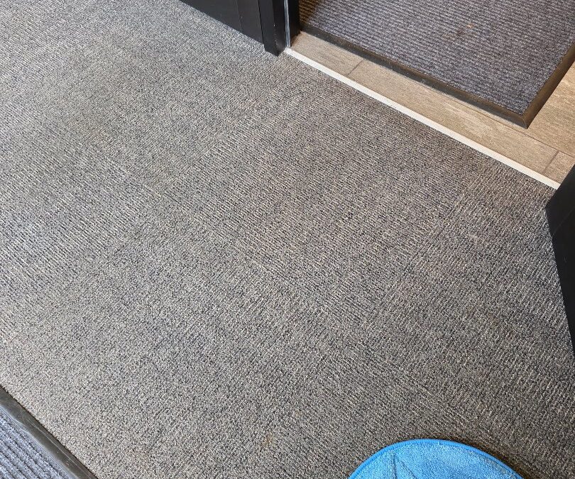 Carpet Cleaning Experts in Madison, WI