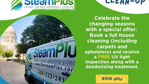 Seasonal Clean-Up – Free UV & Deodorizer with Full House Clean