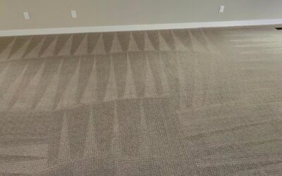 Carpet Cleaning Madison WI That Delivers Fast Results