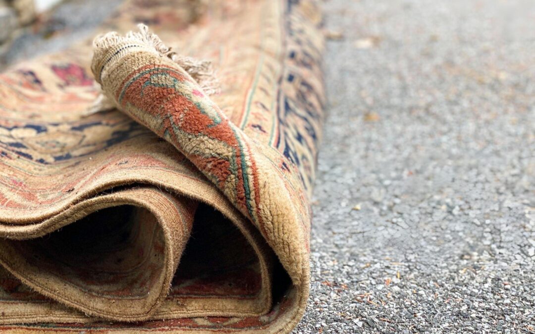 How to Spot and Treat Mold in Carpets