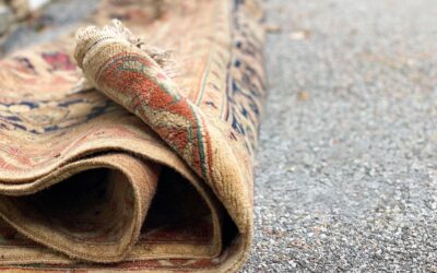 How to Spot and Treat Mold in Carpets